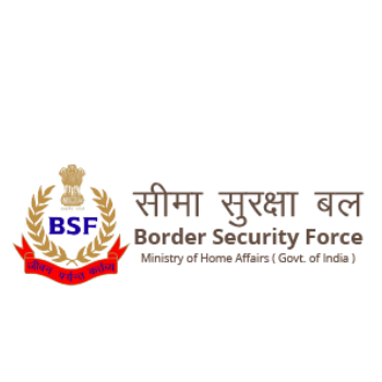 Logo Image of BSF